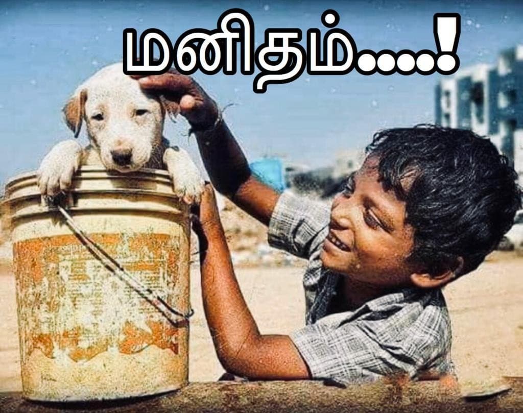 மனிதம் — அட்டை