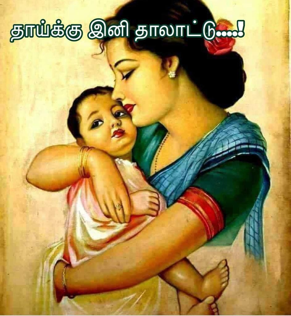 தாய்க்கு இனி தாலாட்டு — அட்டை
